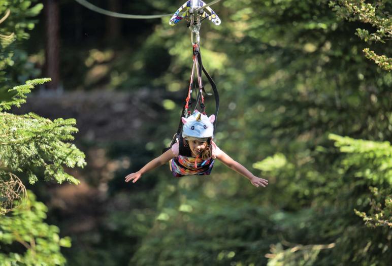 bol d air la bresse vosges