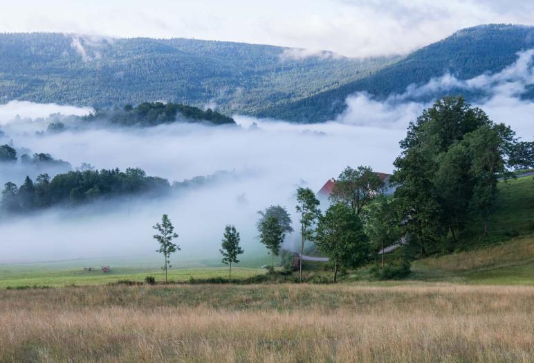 bol d air la bresse vosges