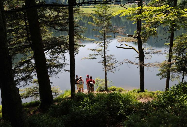 bol d air la bresse vosges