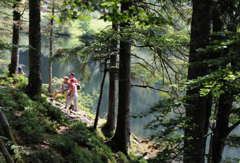 bol d air la bresse vosges