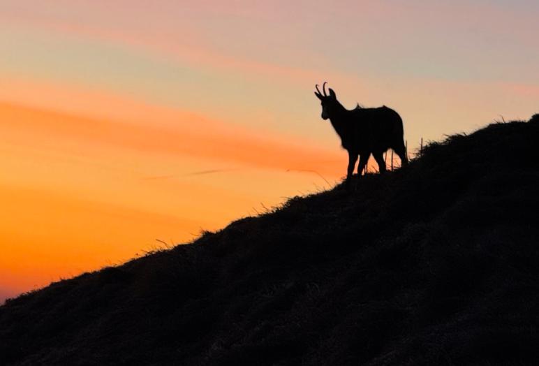 bol d air la bresse vosges