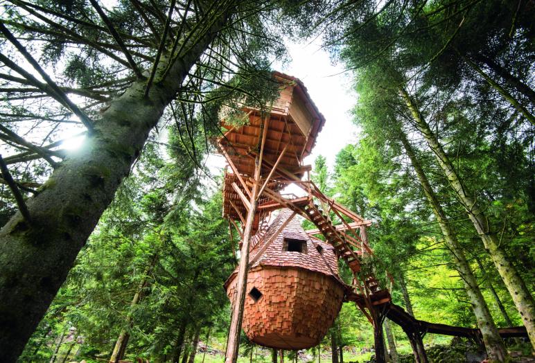 bol d air la bresse vosges