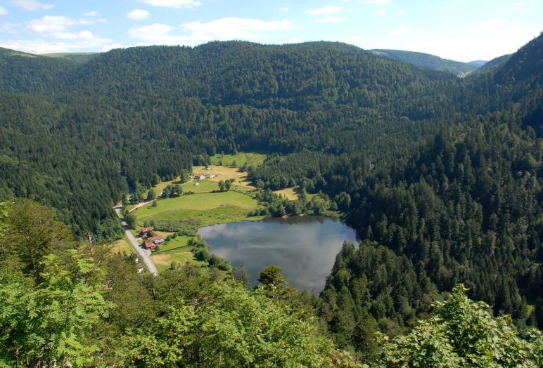 bol d air la bresse vosges