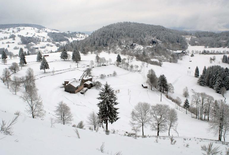 bol d air la bresse vosges